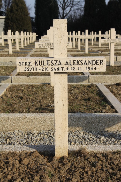 Aleksander Kulesza