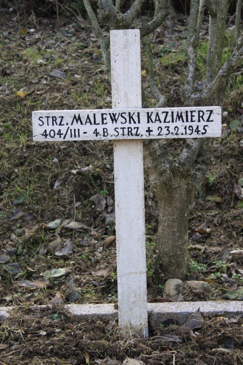 Kazimierz Malewski