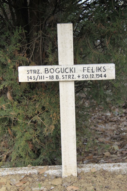 Feliks Bogucki