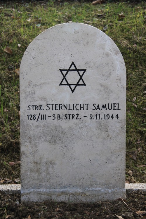 Samuel Sternlicht