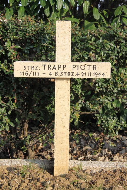 Piotr Trapp