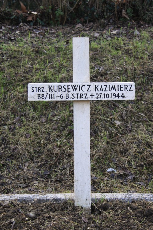 Kazimierz Kursewicz