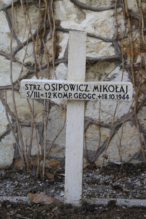 Mikołaj Osipowicz