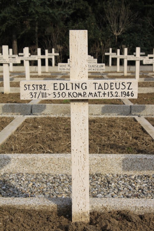Tadeusz Edling
