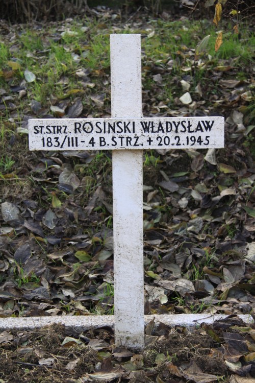 Władysław Rosiński
