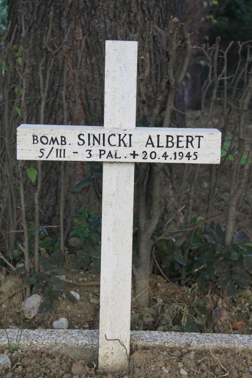 Albert Sinicki