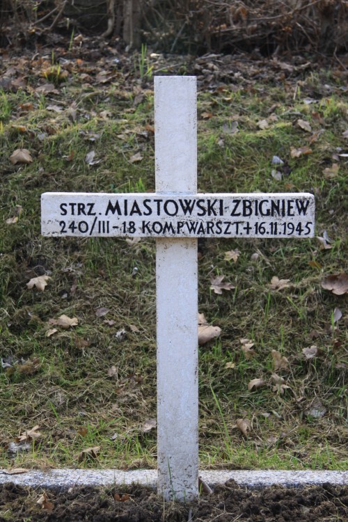 Zbigniew Miastowski