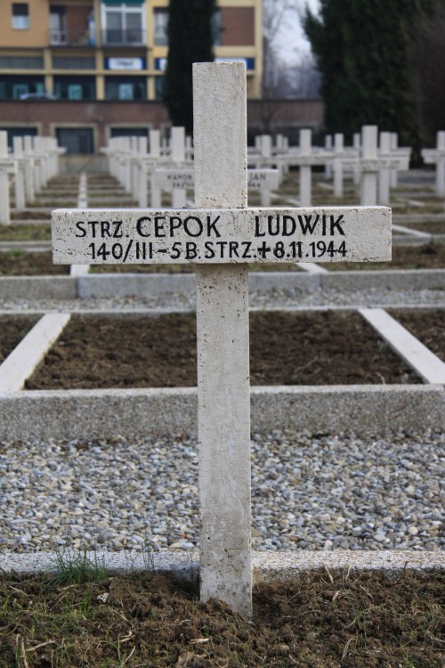 Ludwik Cepok