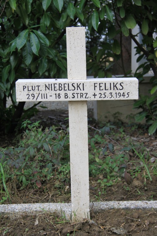 Feliks Niebelski