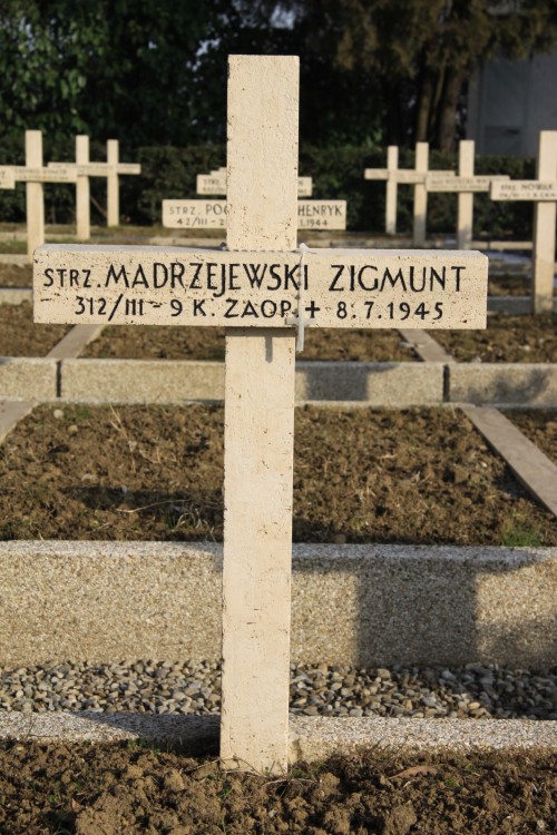 Zygmunt Mądrzejewski