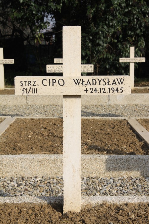 Władysław Cipo