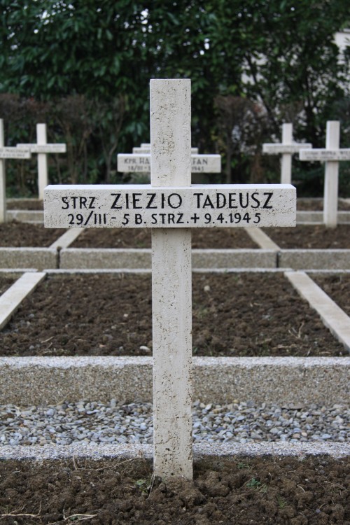 Tadeusz Zięzio